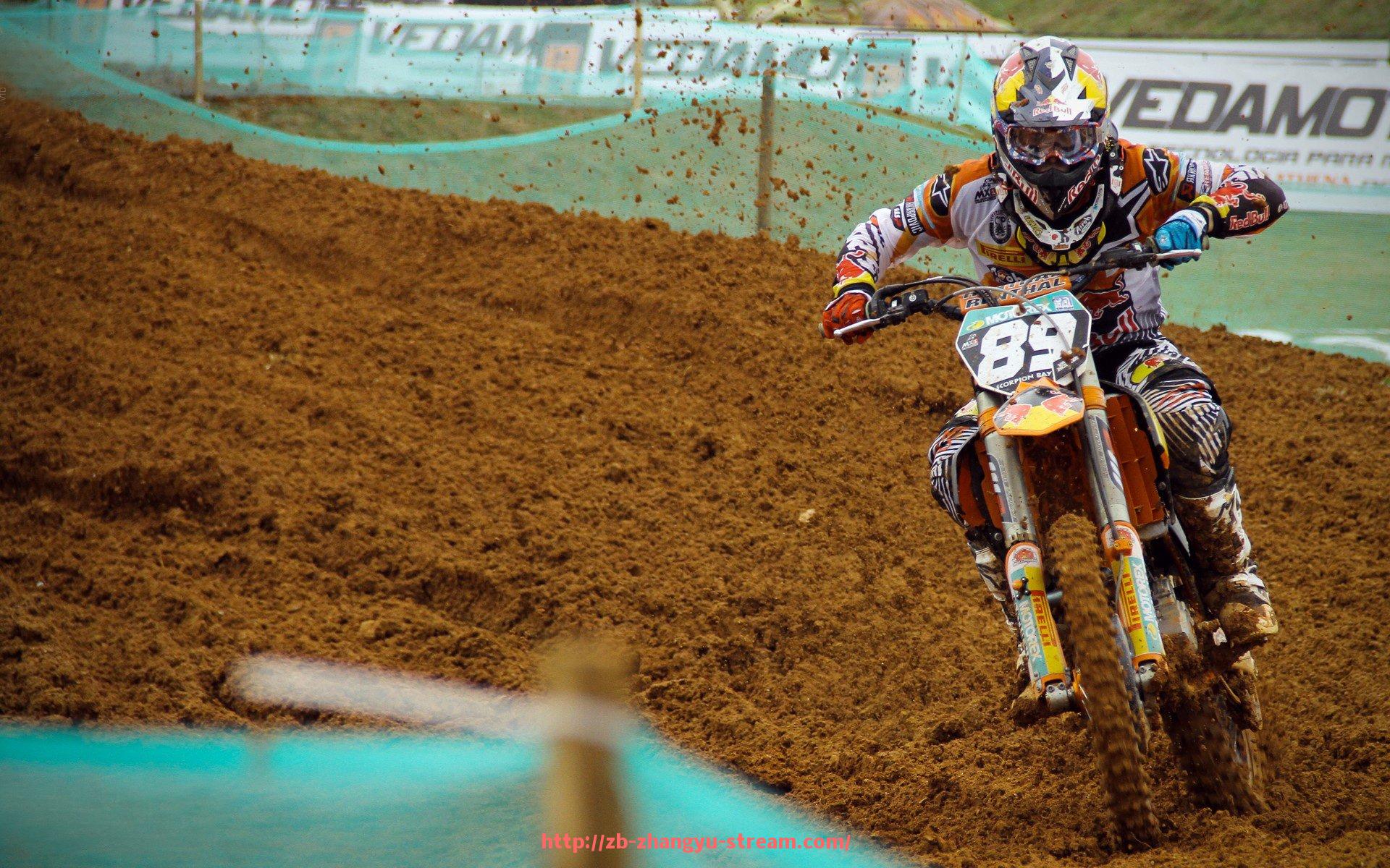 章鱼直播-运动健身器材的种类与购买指南:不同需求如何选择最适合的器材